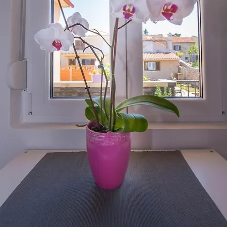 Andrej A2 Guest house Veli Losinj