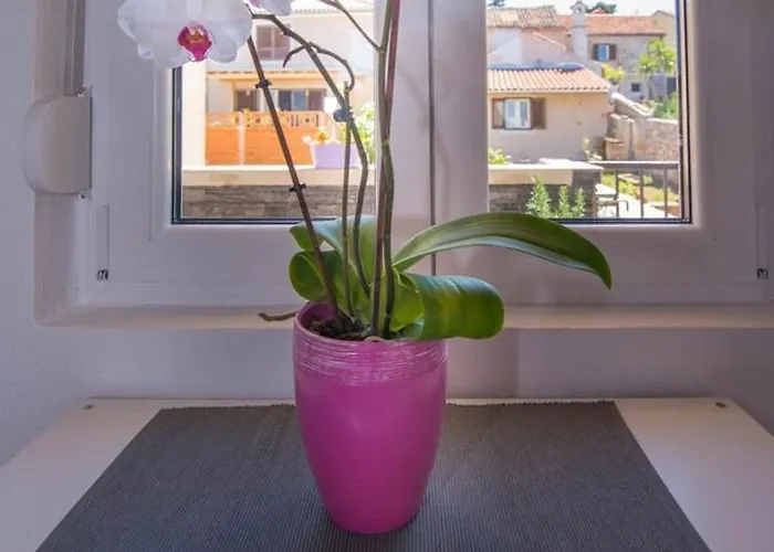 Andrej A2 Πανσιόν Veli Lošinj